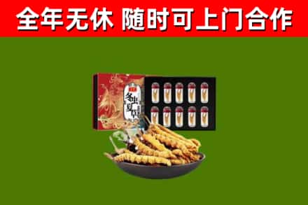 斗门区回收冬虫夏草价格